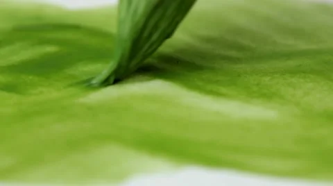 Green brush stroke Video stock 12752953