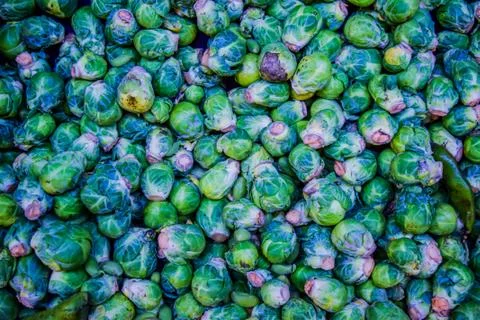 Green brussel cabbage Stock Photos