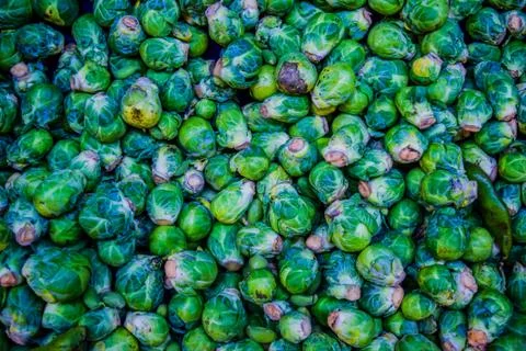 Green brussel cabbage Stock Photos