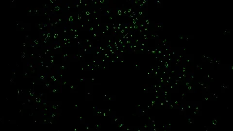 Green bubbles on a black background Stock-Footage 125698979