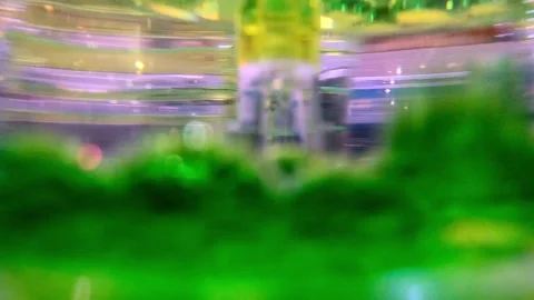 Green bubbles blob accumulating Stock Footage 277900816