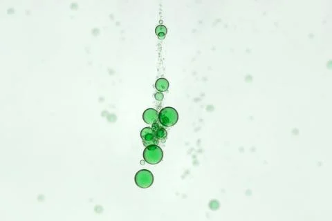 Green bubbles cascade Stock Photos