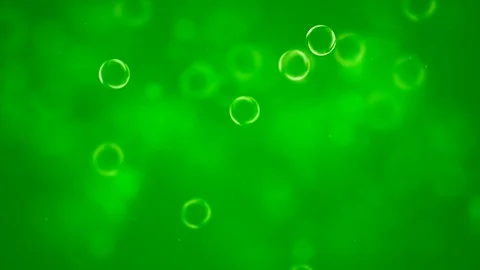 Green bubbles floating animation - HD loop motion background Stock Footage 81474375