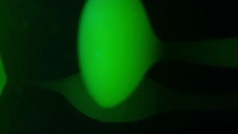 Green bubbles fluctuating Stock Footage 182081972