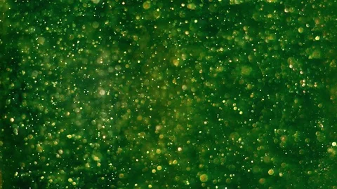 Green bubbles Stock Footage 122376288
