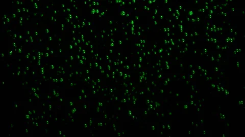 Green Bubbles Video stock 145944985
