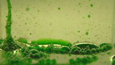 Green bubbles in liquid. Stock-Footage 91702117