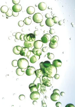 Green bubbles Stock Photos