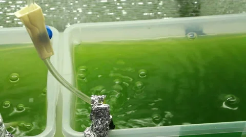 Green bubbling liquid close up Stock-Footage 60816394