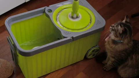 Green bucket and mop Vidéo 120127865