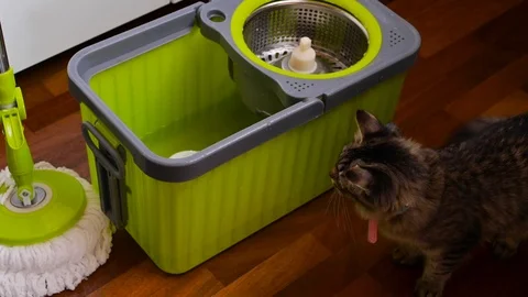 Green bucket and mop Video stock 120128935