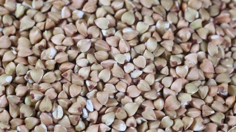 Green buckwheat close up video Stock-Footage 145721508