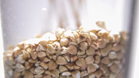 Green buckwheat kernel pouring into glass macro Stock Footage 123174522