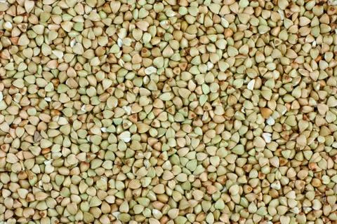 Green buckwheat Stock Photos