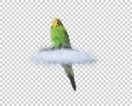 Green budgerigar Stock Illustration