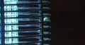 Green Bug Climbs Bug Zapper HD Footage