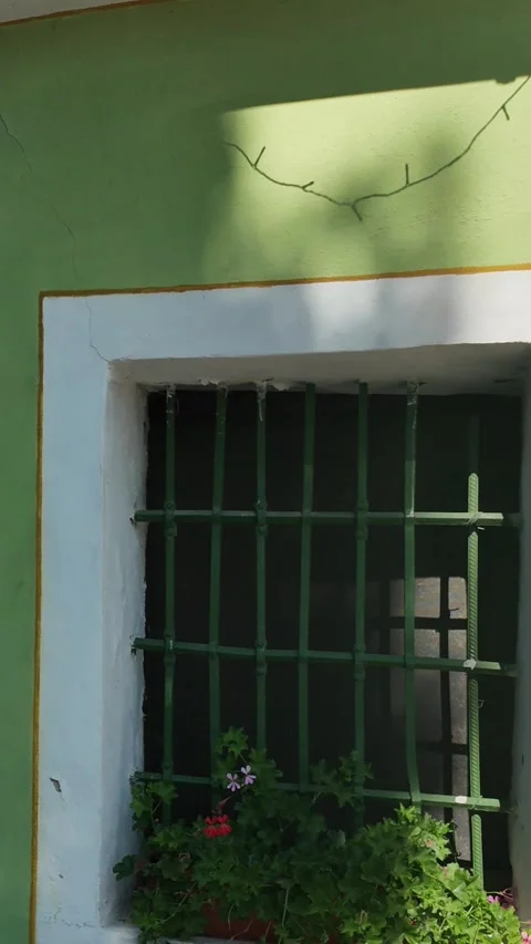 Green building facade with barred windows and potted geraniums in sunlight Stock-Footage 340635145