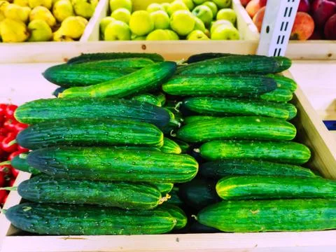 Green bumpy cucumbers are neatly stacked in a drawer on the counter 스톡 사진