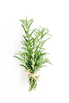 Green bundle of rosemary isolated on a white background. Herbs. Flat lay. Top Stock Photos
