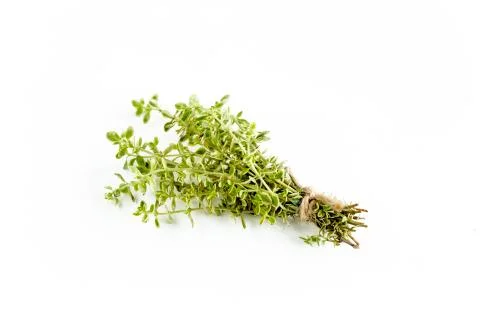 Green bundle of thyme isolated on a white background. Herbs. Flat lay. Top view Stock Photos