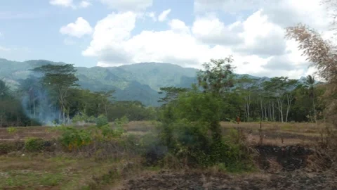 Green to Burn Grey Stock Footage 274439703