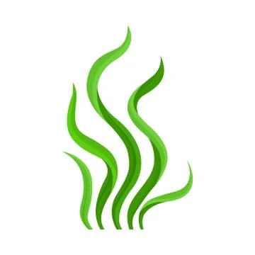 Green bush algae. Vector illustration on white background. Illustrazione stock