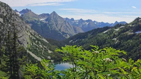Green bush foliage swaying in the wind with mountain landscape in the background Stock Footage 342076335