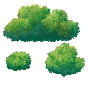 Green Bush Stock Illustration