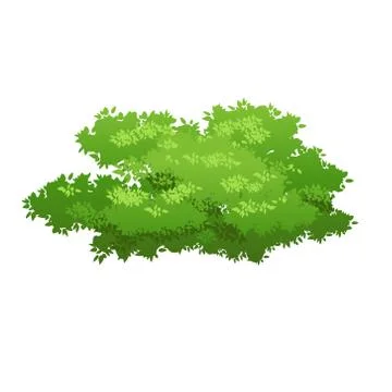 Green bush image Stock Illustration