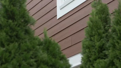 Green Bushed in Front of Red Siding Stock Footage 100898925