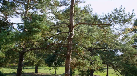 Green Business Stock Footage 33002660