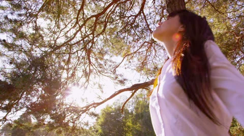 Green Business Stock Footage 33002952