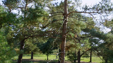 Green Business Stock Footage 33002974