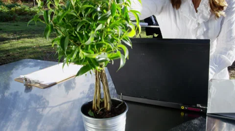 Green Business 스톡 동영상 33003059