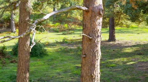 Green Business Stock Footage 33003086