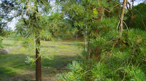 Green Business Stock Footage 33003404