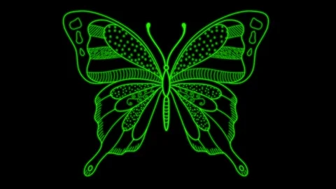 Green butterfly animation Stock Footage 171740044