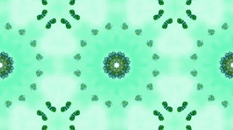 Green butterfly circle pattern and smoke.lotus,Buddhism Mandala flower,kaleidosc Stock Footage 792458