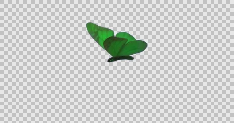 Green Butterfly flapping wings graceully in slow motion Stock Footage 65334410