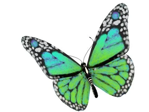 Green butterfly Stock Illustration