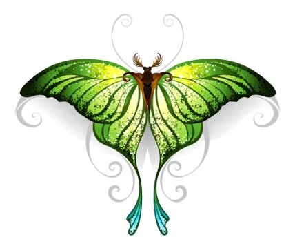 Green butterfly Stock Illustration