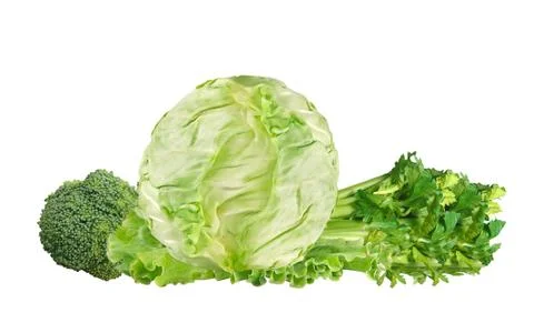 Green cabbage, broccoli and celery isolated on white Stock Photos