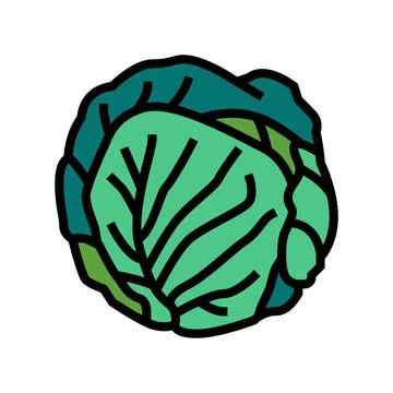 Green cabbage color icon vector illustration Illustrazione stock