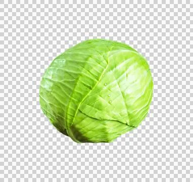 Green cabbage on concrete background Stock-Fotos