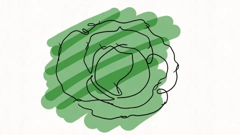 Green Cabbage Hand Drawn Vegetable Animation 動画素材 338000102