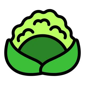 Green cabbage head growing on the ground Ilustración de archivo