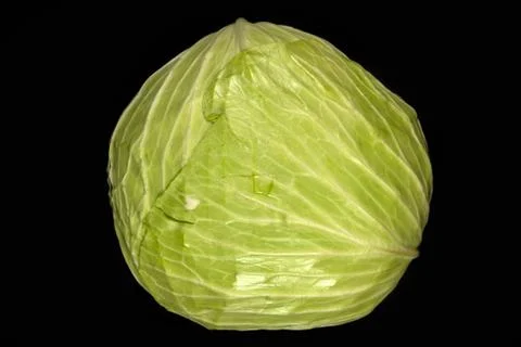Green Cabbage Head Stock Photos