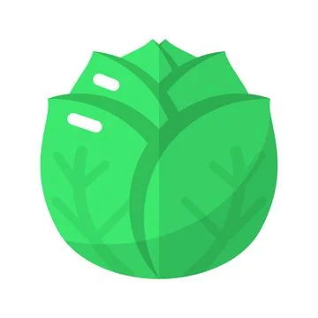 Green cabbage icon flat vector. Salad plant Illustrazione stock