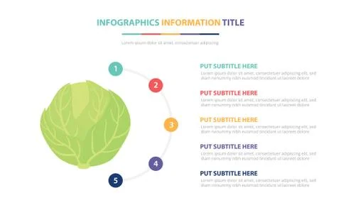 Green cabbage infographic template concept with five points list and various  Stock Illustration