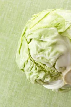 Green cabbage isolated on green. Stock Photos